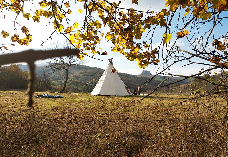 Scuola nel Bosco di Pecorile Reggio Emilia
